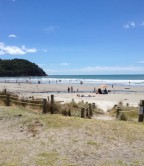 Western Bay of Plenty's Waihi Beach. Property InDepth.